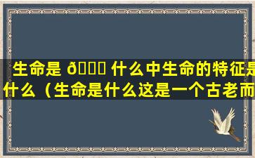 生命是 🐛 什么中生命的特征是什么（生命是什么这是一个古老而又充满哲理的问题）